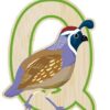 EverEarth Bamboo Letters (Q - Quail)