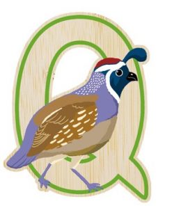 EverEarth Bamboo Letters  (Q - Quail)