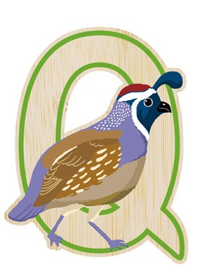 EverEarth Bamboo Letters (Q - Quail)