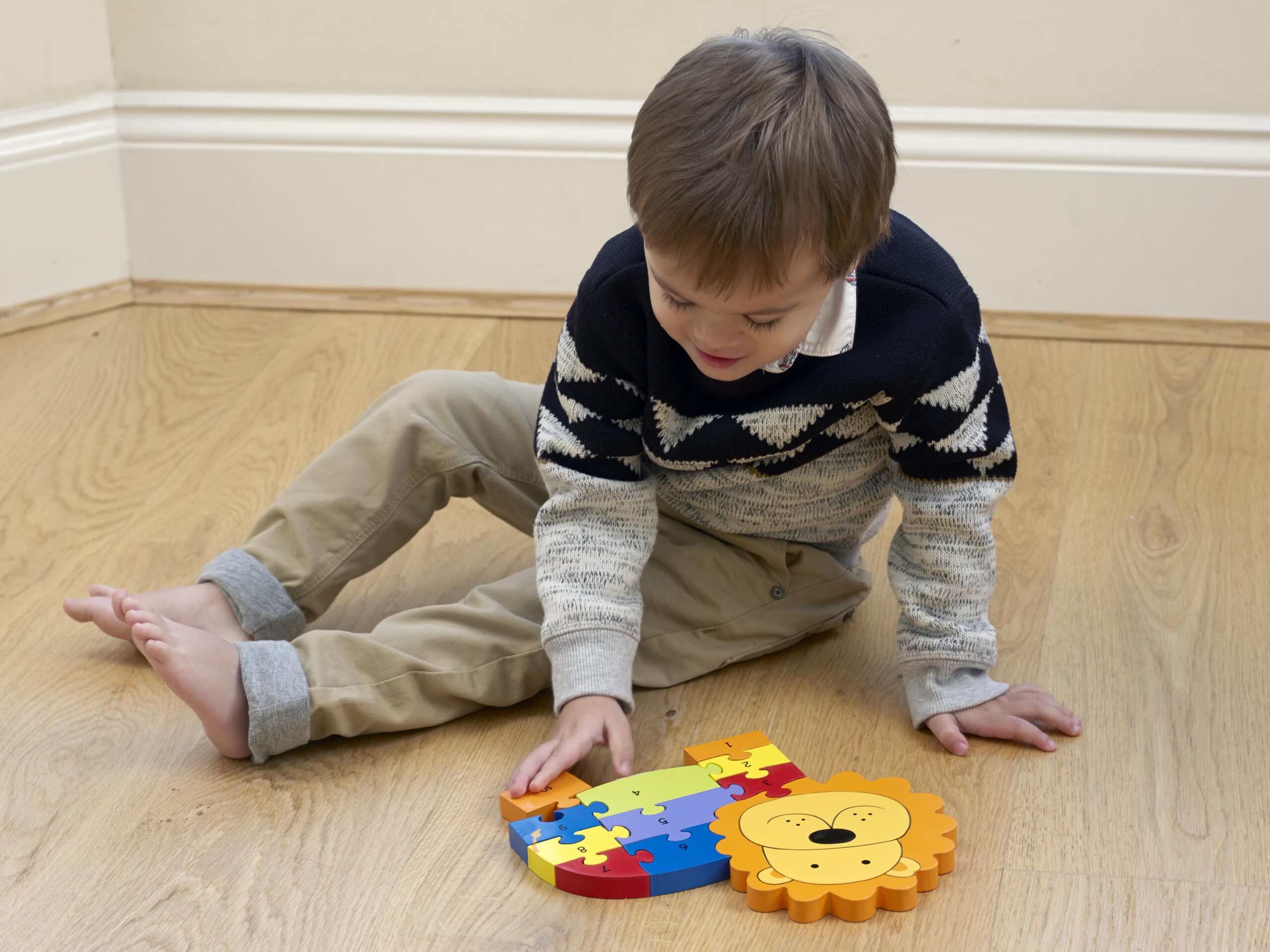 Number Puzzle - Lion - Lifestyle