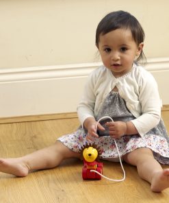 Pull Along - Lion - Lifestyle small