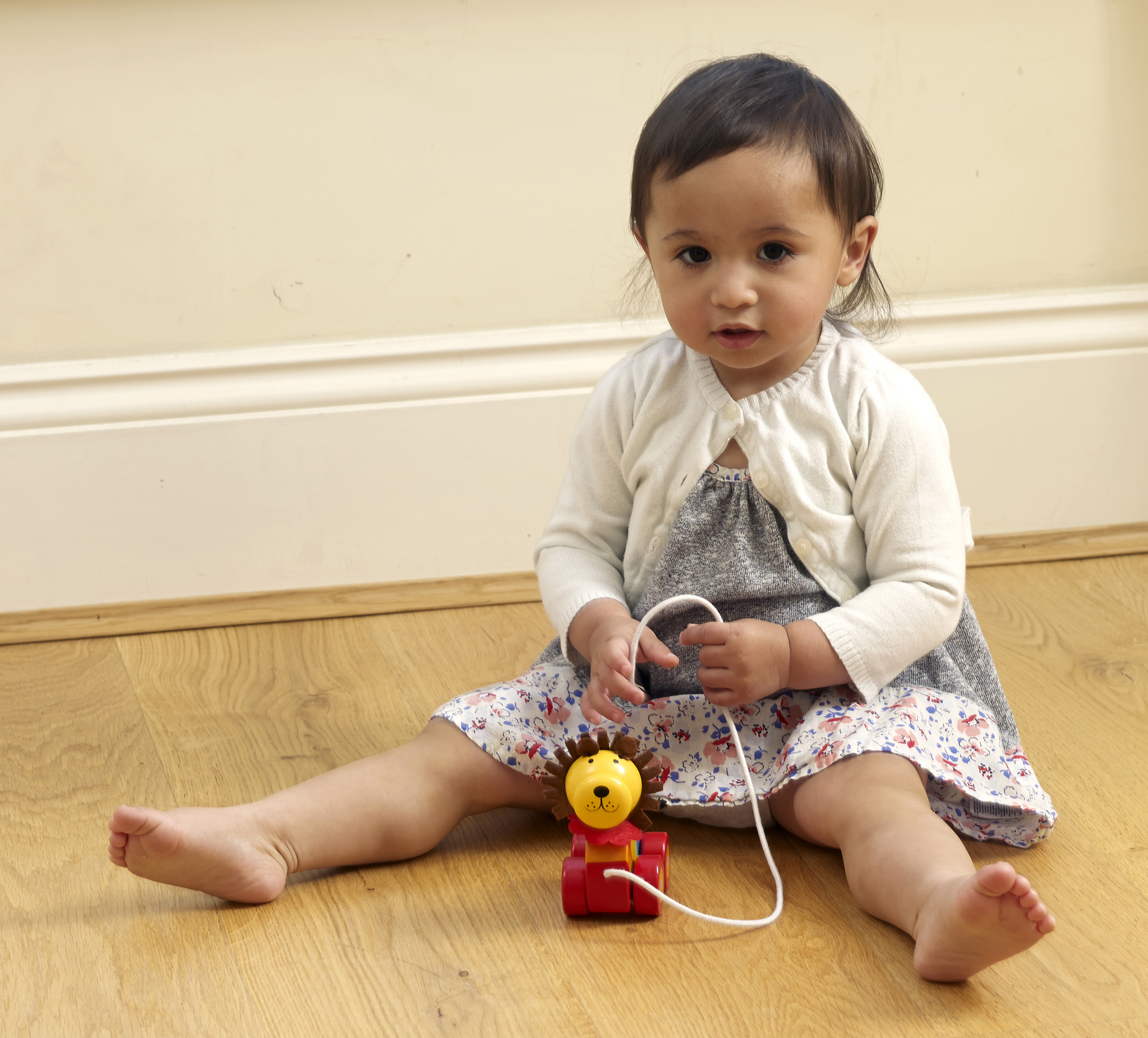 Pull Along - Lion - Lifestyle small