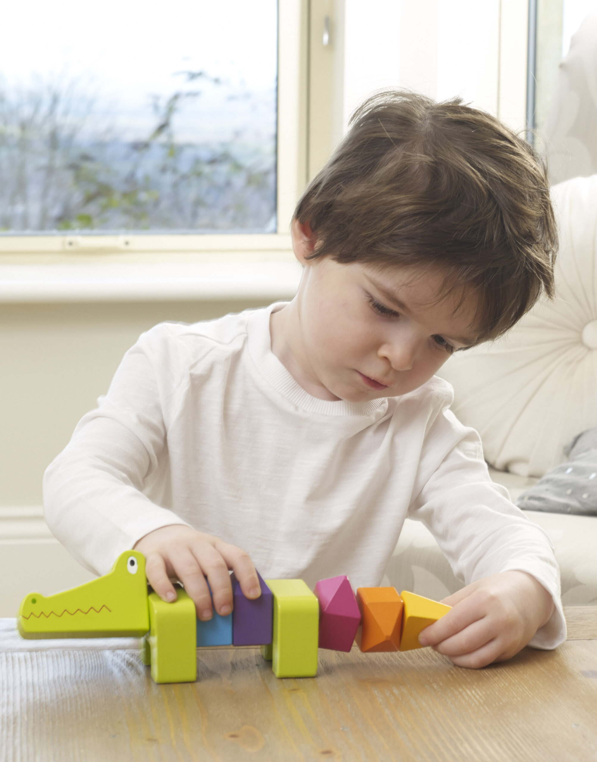 3D Puzzle - Crocodile - Lifestlye