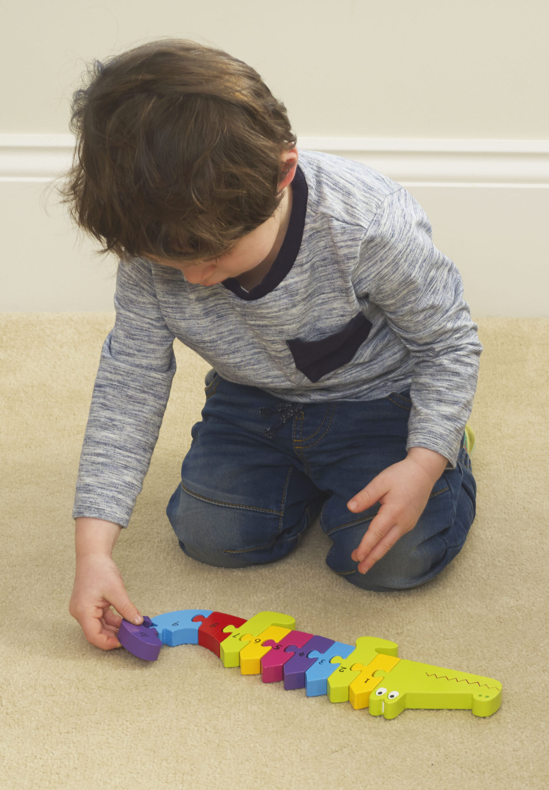 Number Puzzle - Crocodile - Lifestlye