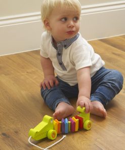 Pull Along - Crocodile - Lifestlye