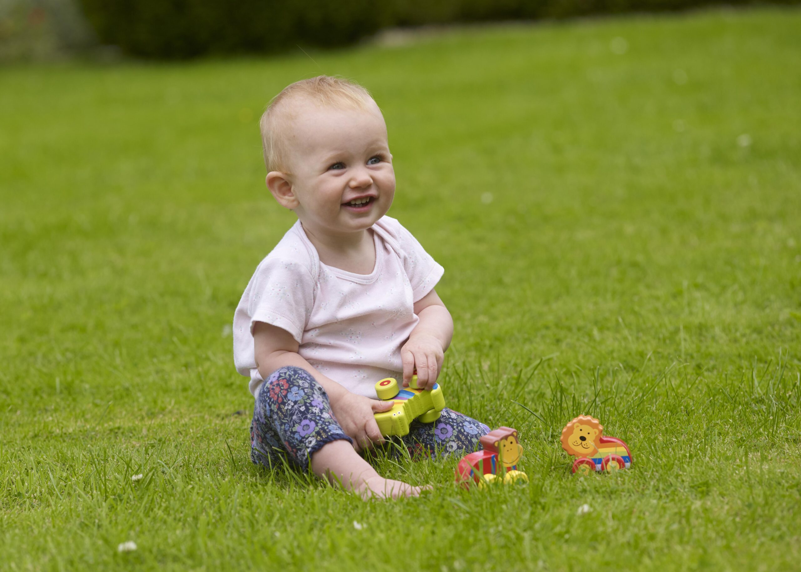 JUNGLE ANIMALS_LIFESTYLE