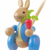 Peter Rabbit Push Alongs - NO BEADS