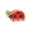 NC191-ladybird