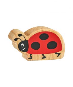 NC191-ladybird