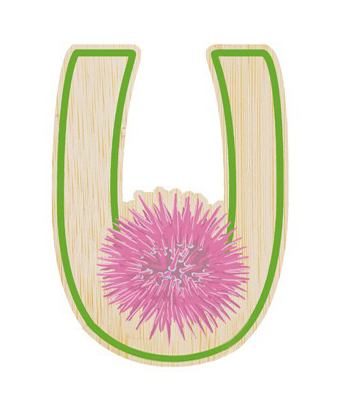 u-urchin