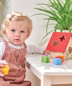 PL085-Bird-House-Wooden-Shapes-Sorter-Toddler-Toy-Girl