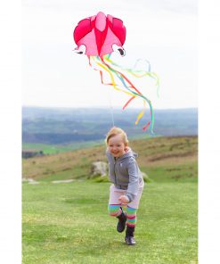 221109-Octopus-Kite-3