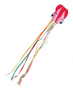 221109-Octopus-Kite-6