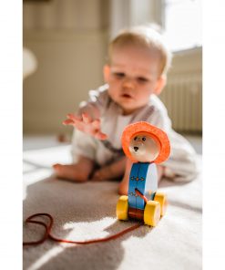 Orange Tree Toys