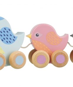 PULL ALONG - BIRDIES