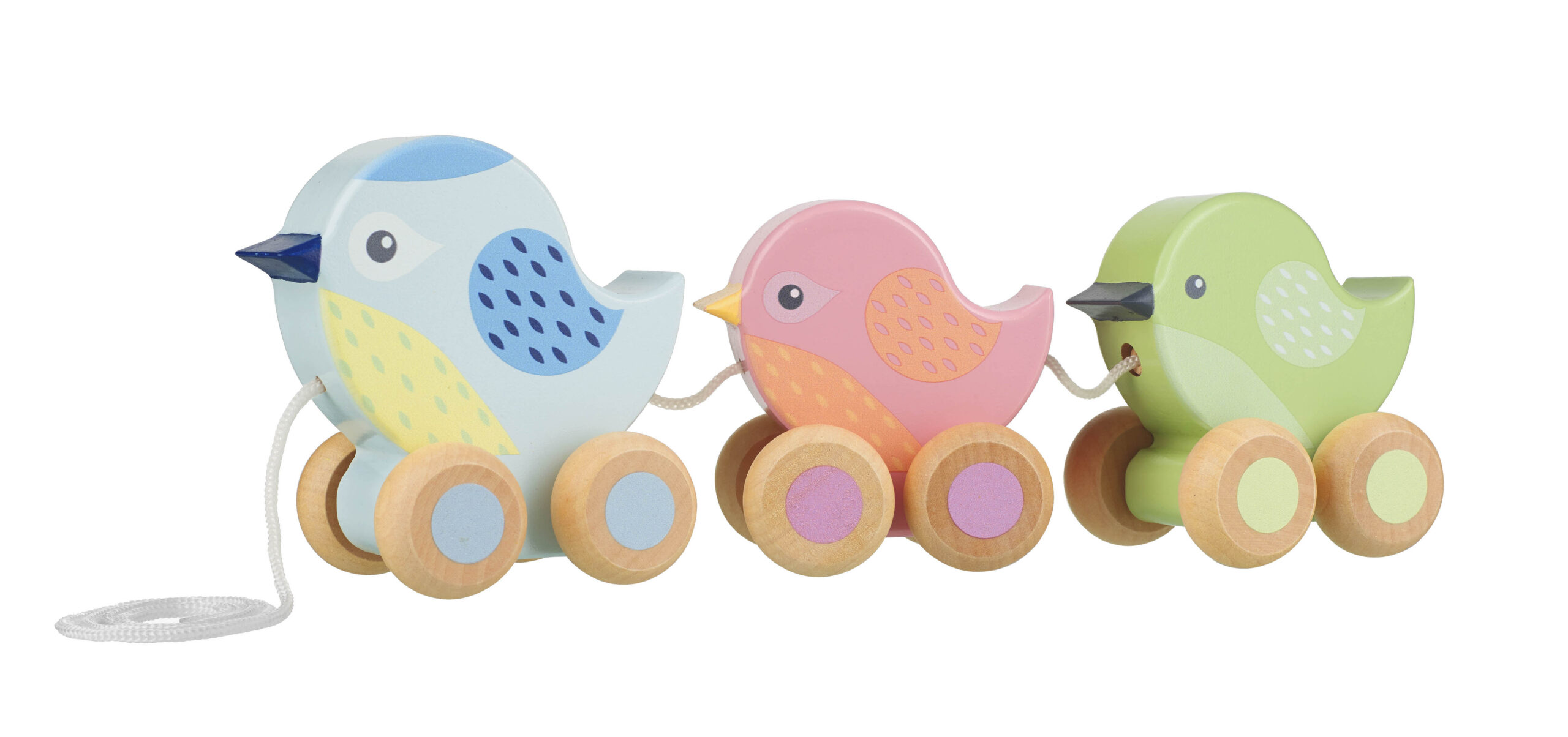 PULL ALONG - BIRDIES