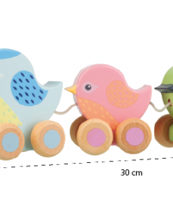 Pull along birdies_Measurements