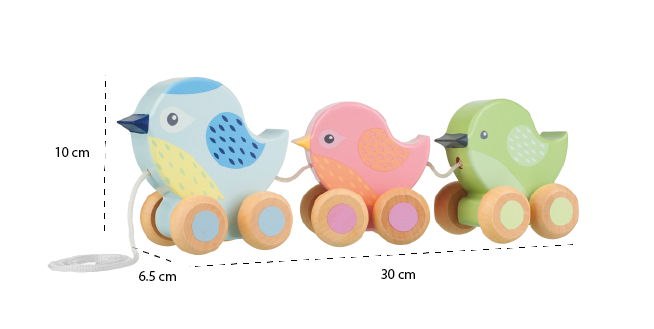 Pull along birdies_Measurements