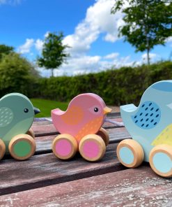 Pullalong Birdies_Lifestyle