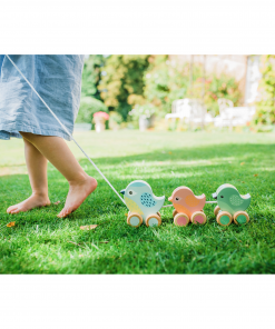 Spring Garden Pull Along Birdies lifestyle 1