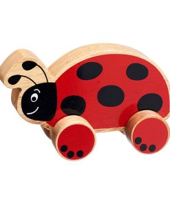 NW04 Ladybird push along