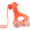 E0906 Giraffe-2